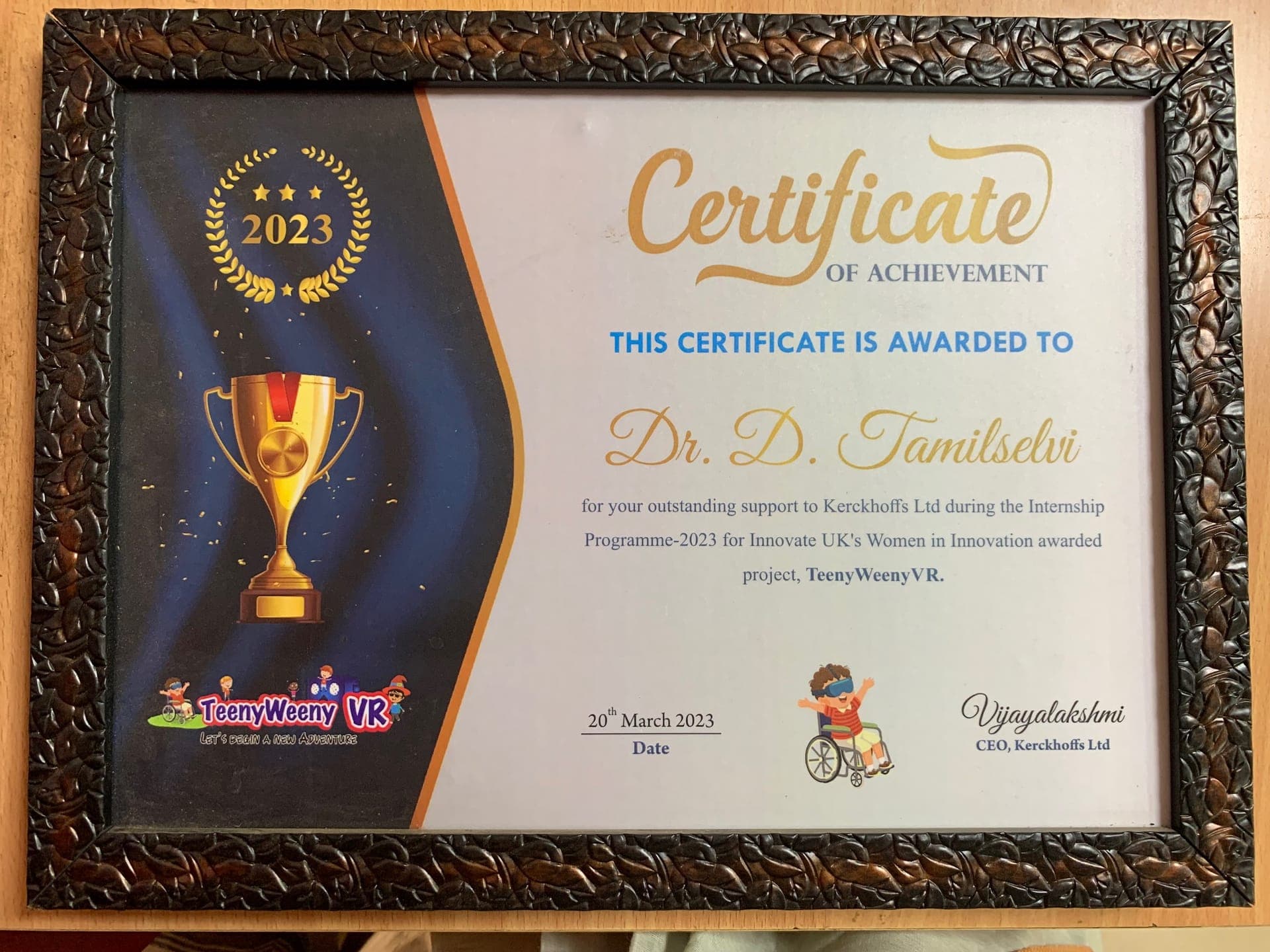 International VR Collaboration